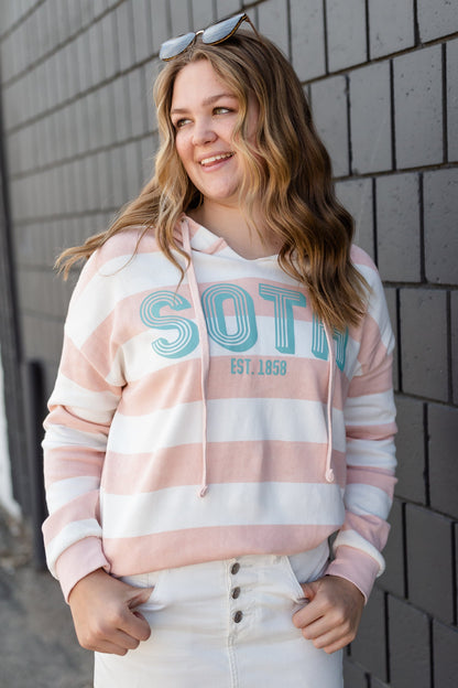 Blush Striped Sota Pullover Sweatshirt - FINAL SALE Tops