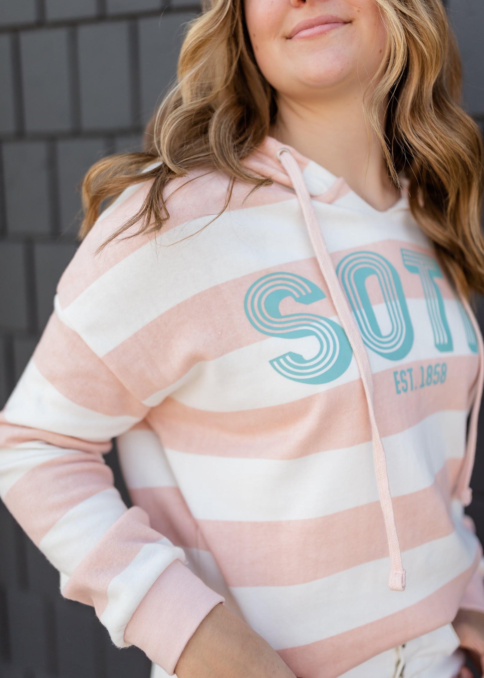 Blush Striped Sota Pullover Sweatshirt - FINAL SALE Tops