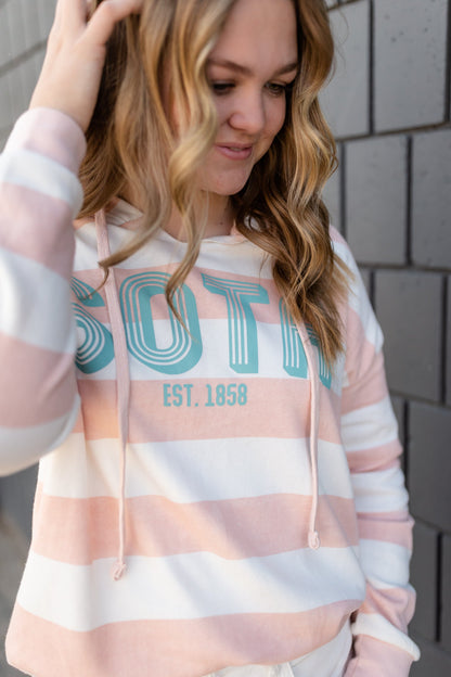 Blush Striped Sota Pullover Sweatshirt - FINAL SALE Tops