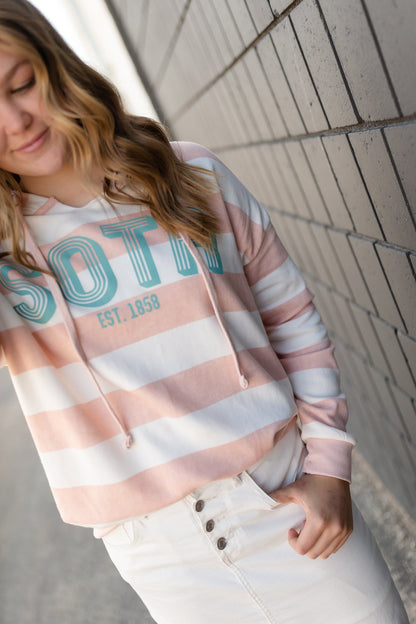 Blush Striped Sota Pullover Sweatshirt - FINAL SALE Tops