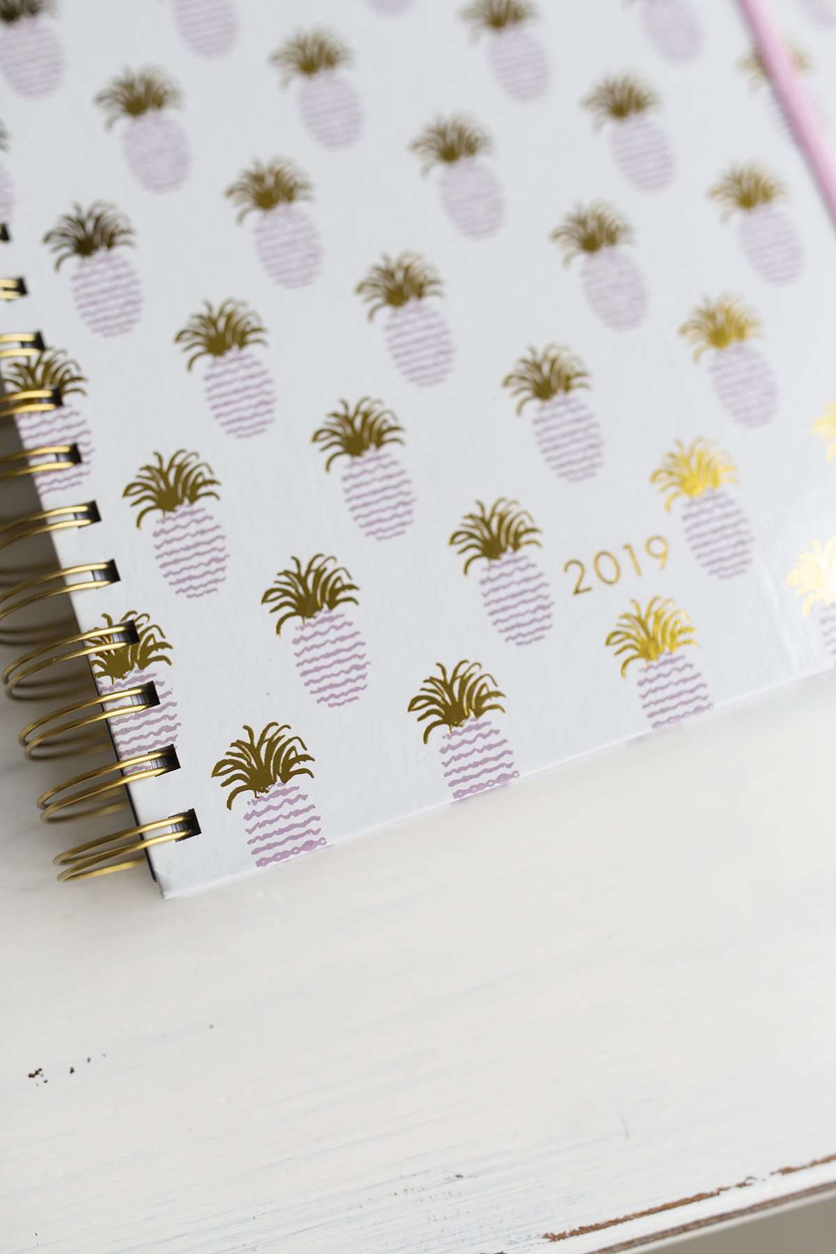 Pineapple 2019 Christian Planner