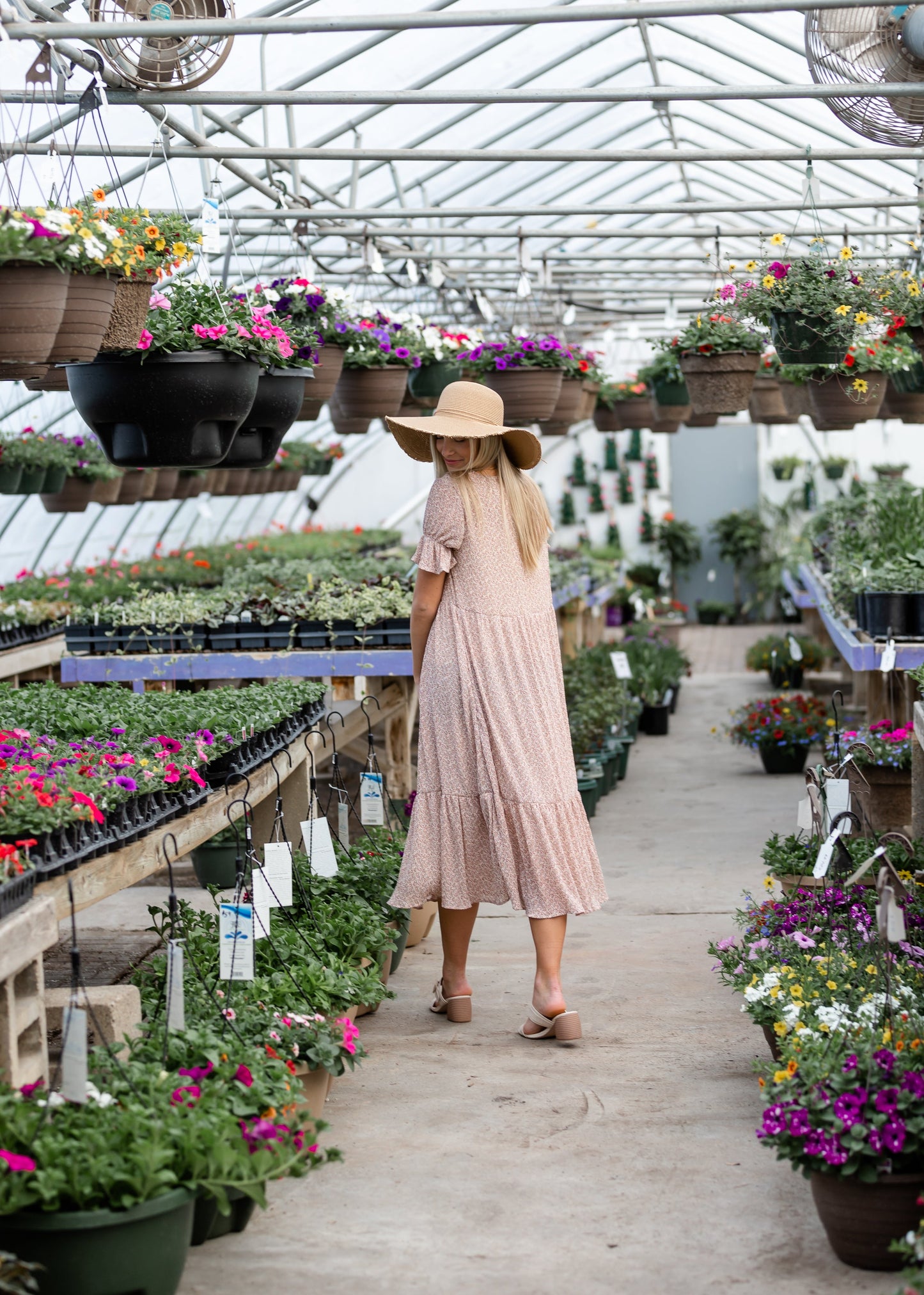 Pink Ruffle Sleeve Floral Midi Dress Dresses Hayden