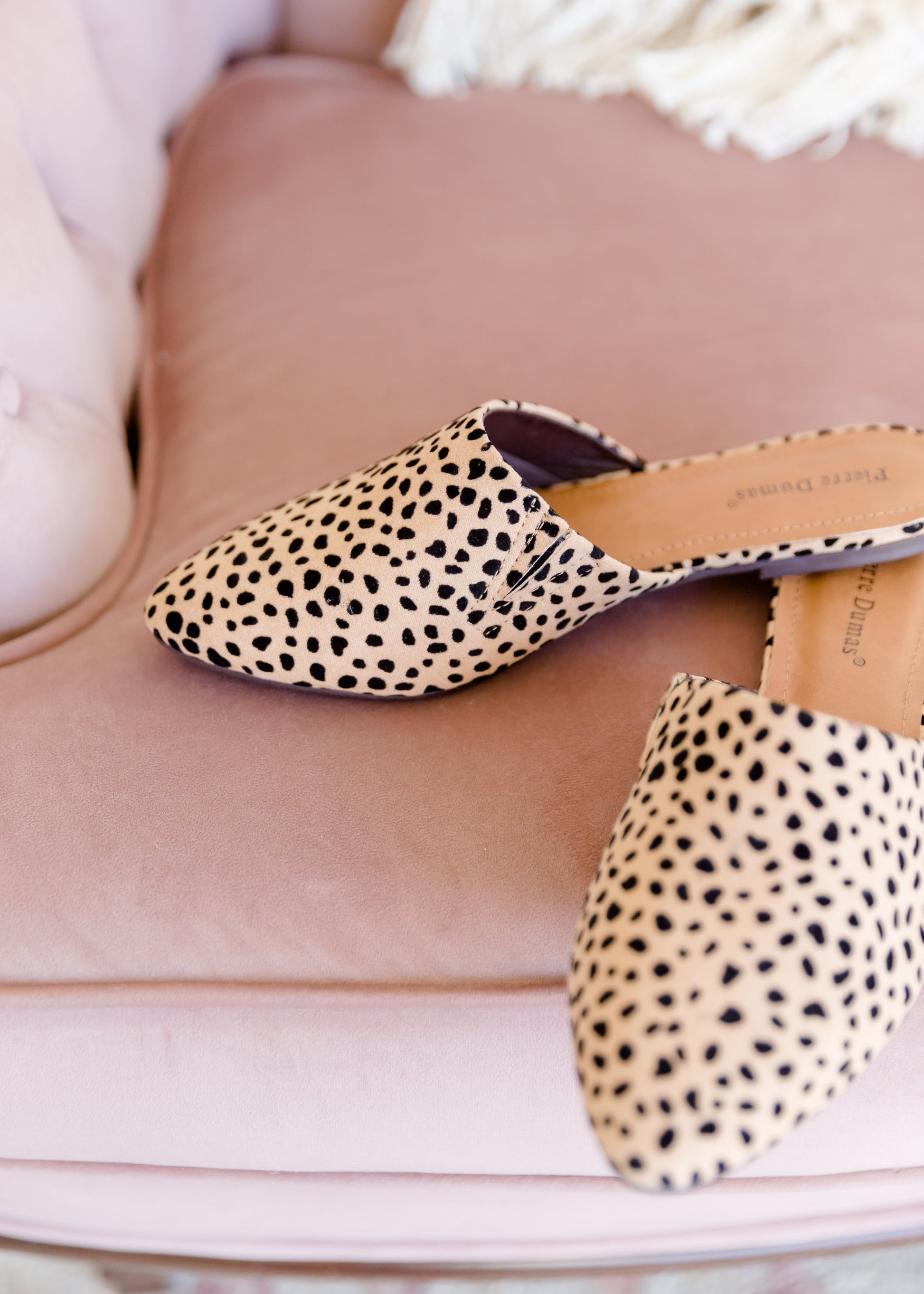 Pointed Toe Cheetah Mules - FINAL SALE Shoes